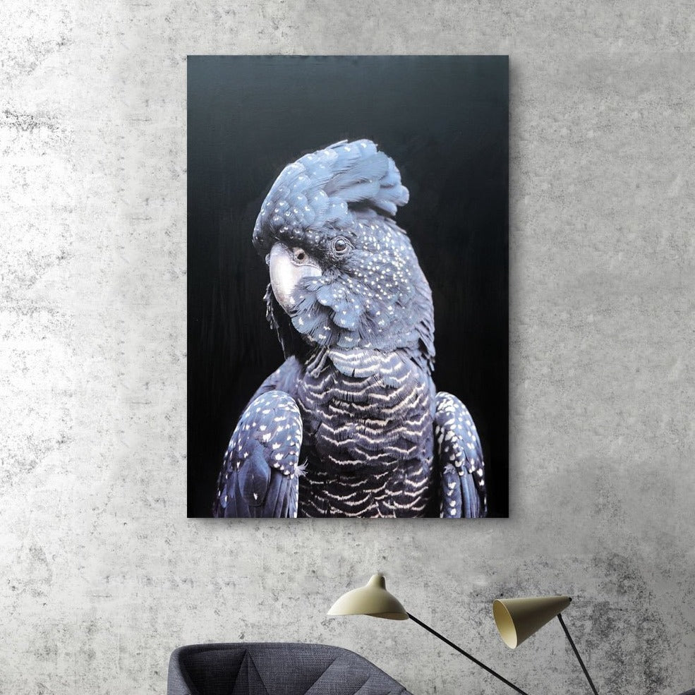 Mr Parrot - paintingsonline.com.au