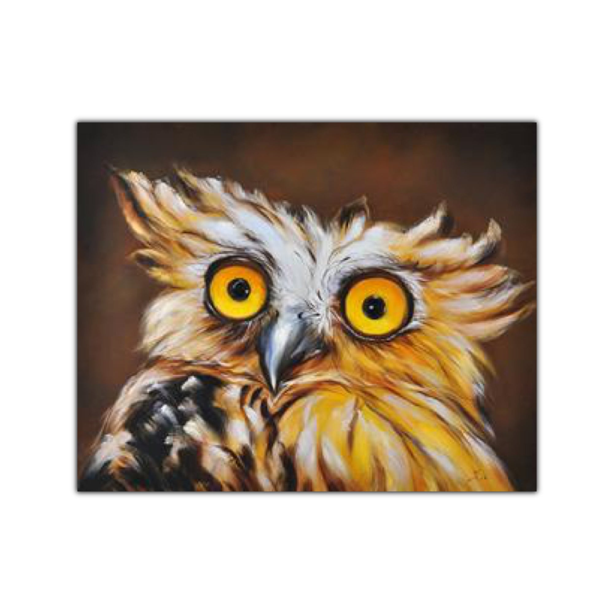 Surprised Owl on Canvas