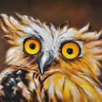 Surprised Owl on Canvas - paintingsonline.com.au