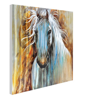 Charmer Stallion - paintingsonline.com.au